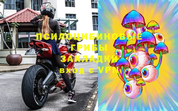 молекула духа Алзамай