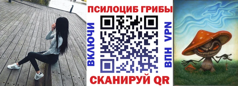 как найти наркотики Сим Галлюциногенные грибы мицелий